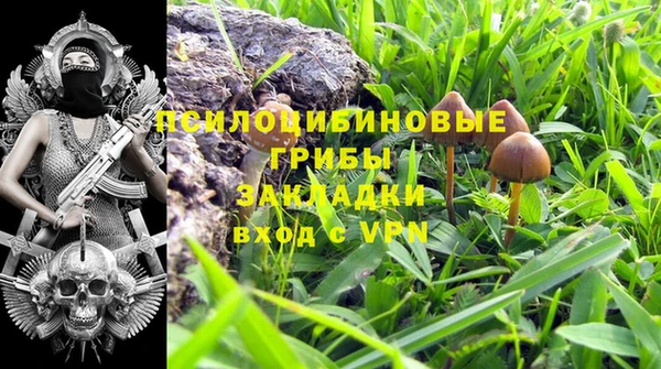 кокс Весьегонск