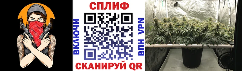 Конопля SATIVA & INDICA Кировград